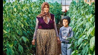 Turkish village life. Життя в турецькому селі