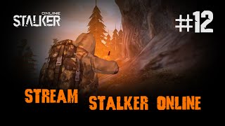 Stalker Online / 12