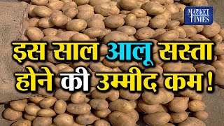 #Potato #Mandi इस साल आलू सस्ता होने की उम्मीद कम ! | Market Times TV |