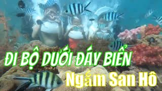 Trải Nghiệm Đi Bộ Dưới Đáy Biển Ngắm San Hô - Sea Walker in Phu Quoc