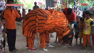 AKSI TARUNGAN** BUROK SANGGAR BUDAYA SHOW KARANGBALE