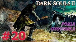DARK SOULS 2 Прохождение #20 - РОЩА ОХОТНИКА