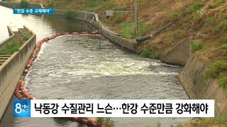 낙동강 수질관리 한강 수준 규제해야 180808 [TBC-띠비띠]