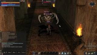 Lineage 2 : Elven Ruins (Lv. 10 to 13) - Part 1
