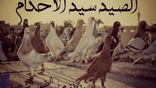 محروس الشغري يادنيا ليش