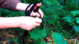 Подвязка огурцов колечками из женских колготок