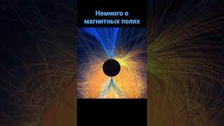 Магнитное поле. Интересные факты #shortsvideo