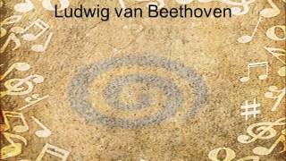 Mein Referat über Beethoven