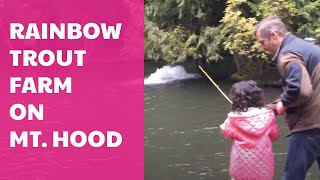 Rainbow Trout Farm