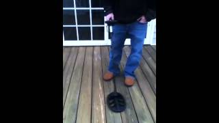 Garrett AT-Gold and Teknetics Eurotek in iron test