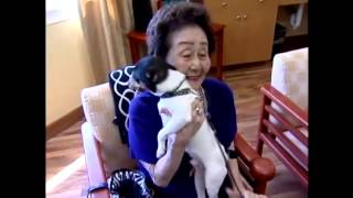 Dog walker and his pack brighten seniors lives