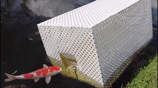 GIANT FISH-TRAP CATCHES MASSIVE COLORFUL FISH!!