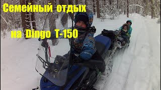 Семейный отдых на Dingo T-150. Стреляем с воздушки. Чай у костра.