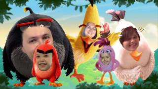 Мисс Кэти и мистер Макс Семья пальчиков Angry Birds в кино на русском  для детей новая серия 2016