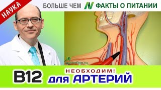 0800.Витамин В12 необходим здоровым артериям | Больше чем ФАКТЫ О ПИТАНИИ - Майкл Грегер