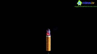 Android Cigarette Smoke (Free)