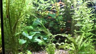кубик 2 свет  Aqualighter 1 30см