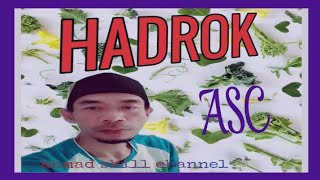 Hadroh ibu ibu musholla BAITUL AMIN#ahmad skill channel