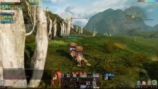 ArcheAge 3.0 Земли Покоя. Пеньковозы. Без читов не обошлось! (Лучник. Ашьяра)