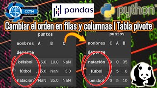 ¿Cómo ordenar las filas y columnas de una Tabla Pivote? | astype('category') |Pandas | Python