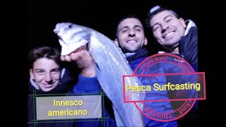 Spigola Big CON Mare in Scaduta, Innesco Americano