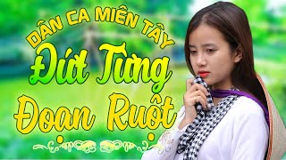 ĐỨT TỪNG ĐOẠN RUỘT - Nhạc Trữ Tình Dân Ca Miền Tây Không Quảng Cáo - LK Cha Cha Cha Miền Tây