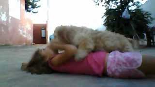 cão tentando beijar dona na boca!!!!!!!! ana laura e gastão!!!!!!
