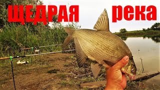 Рыбалка на ЧЁРНЫХ КАМНЯХ- ВЫГЛЯДИТ ТАК!!!ВОТ ЭТО РЫБАЛКА!!!КОРМАКИ РУЛЯТ