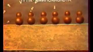 ЭПС и Аппарат Гольджи