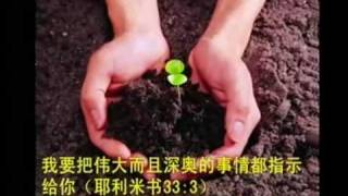 Father God's love letter -- Mandarin (Scriptures with references)
