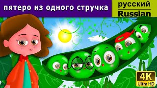 пятеро из одного стручка | сказки на ночь | дюймовочка | 4K UHD | русские сказки