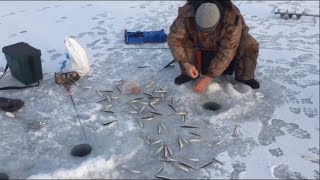 ТАВРИЧАНКА!!!Ловля корюшки на блёсна и самодур.ЗИМНЯЯ РЫБАЛКА.Приморский край.