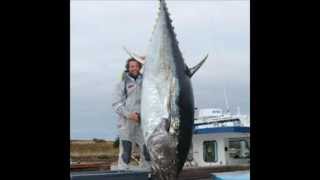 Top 10 Biggest Tuna in the World!!!!!!!(HD)