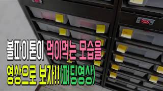 [아트렙타일] 볼파이톤 먹이 먹는 영상!!(피딩영상)고화질1080p60HD