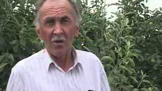 NEVREME ČUMIĆ JUL 2013