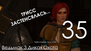 Ведьмак 3 Дикая Охота Прохождение на ПК Часть 35 Снаряжение Школы Кота и Сокровище Графа