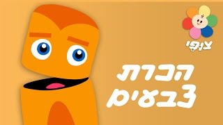 צבעים - כתום | צוות צבע | טלוויזיה חינוכית לילדים ופעוטות