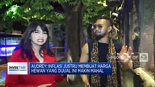 Berawal dari Hobi, Kini Menjadi Sumber Cuan Loh