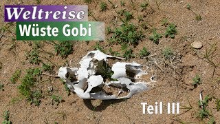 Weltreise • Mongolei • Tour durch die Wüste Gobi Teil 3 • VLOG #010