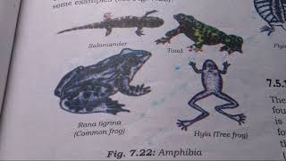Vertebrata- Class 9 Diversity in living organisms
