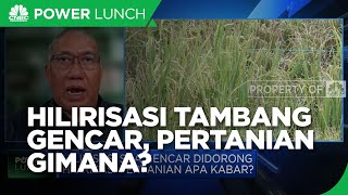 Meski Tak Seheboh Tambang, Hilirisasi Pertanian Sudah Ada Yang Sukses