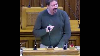 Thomas Waitz - Landtag