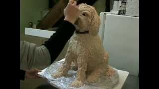 Make a sculpted dog cake