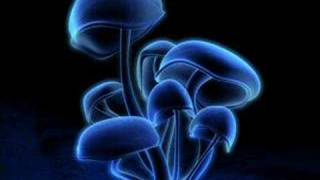 Infected Mushroom - Psyhodelic Trip
