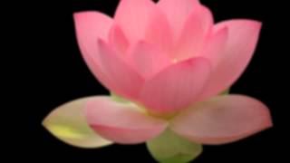 中國竹笛音樂 "chinese twilight"