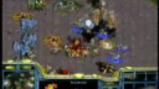 Korean Starcraft Commentators Babble