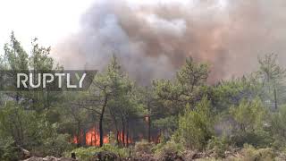 Turkey: Helicopters deployed as firefighters battle forest fire near Marmaris
