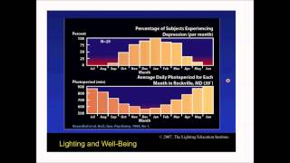 Illustrations of Psychological and Physiological Effects (Luminous Talks 1)
