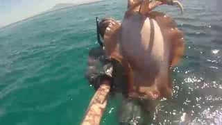 Pesca Submarina Sepia 5 Kgs.