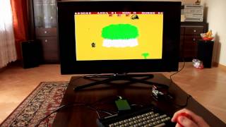 Real ZX Spectrum/Timex at work and play